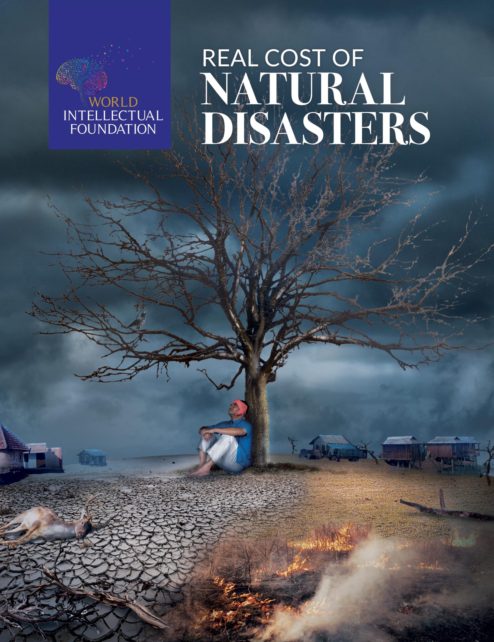Real cost of Natural Disasters